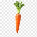 Carrot